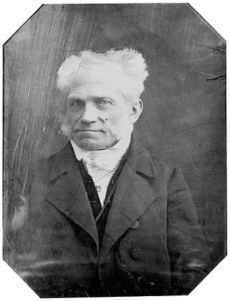 Schopenhauer'ın felsefesi Nietzsche'yi 1865'ten üretken hayatının sonuna kadar fazlasıyla etkilemiştir.